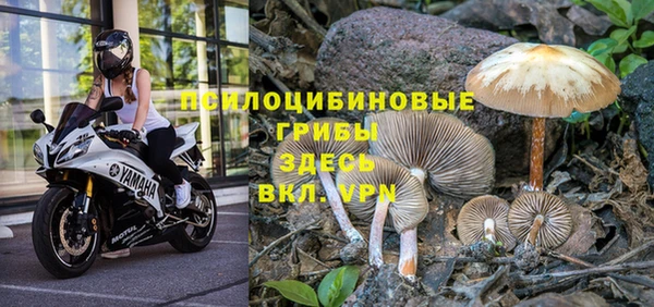 метадон Новокубанск
