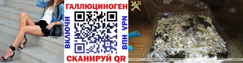 наркота  Кинешма  мориарти наркотические препараты  Псилоцибиновые грибы Psilocybine cubensis 