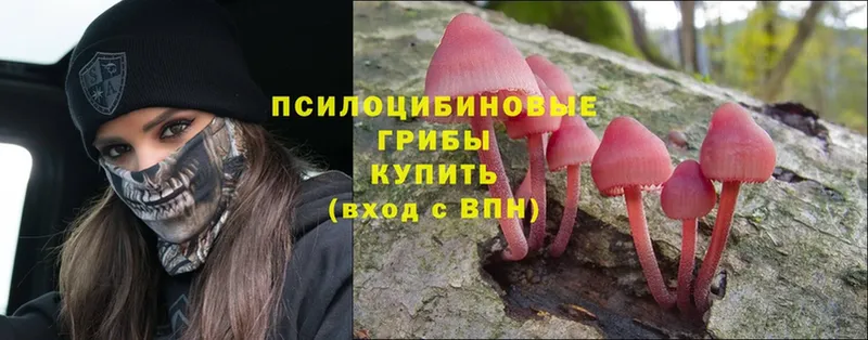 Псилоцибиновые грибы Magic Shrooms  Кинешма 