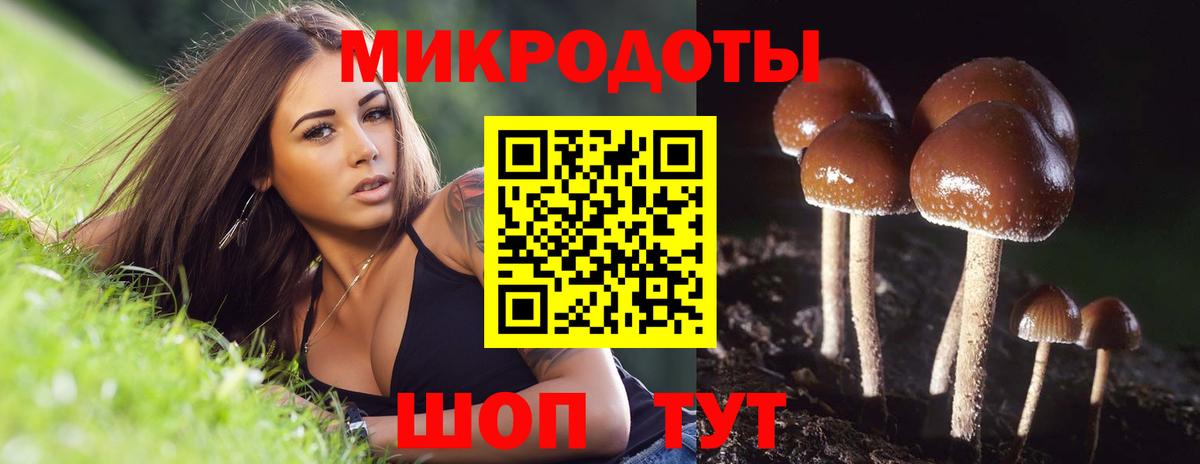 Псилоцибиновые грибы MAGIC MUSHROOMS Кинешма