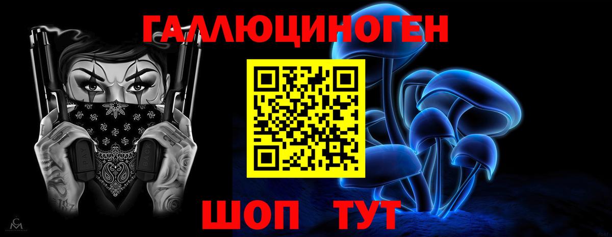 Псилоцибиновые грибы Cubensis  Кинешма  Псилоцибиновые грибы Psilocybe 